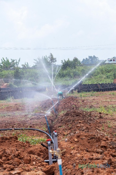 Sprinklers in Action